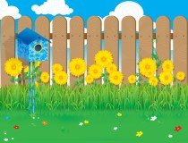 Graphics Design Graphics Design